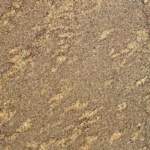 Brazilian_gold brazilian_gold_small.jpg